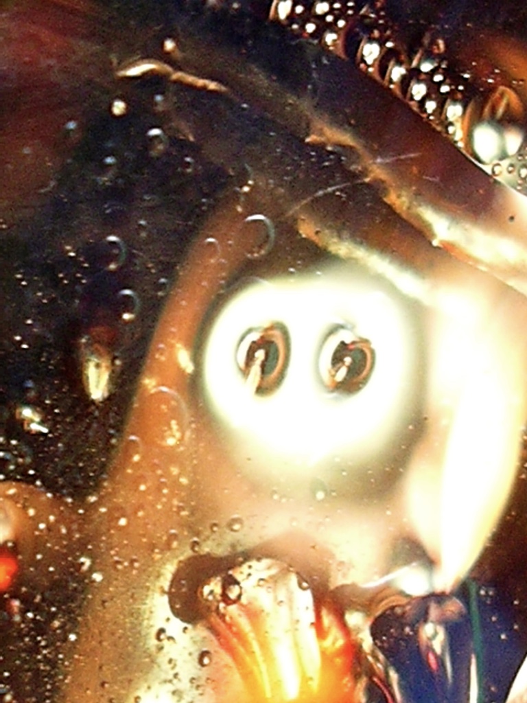 Voyage d'un spermatozoïde VII - Photographie sans trucage sans retouche - Dimension Fantasmic
