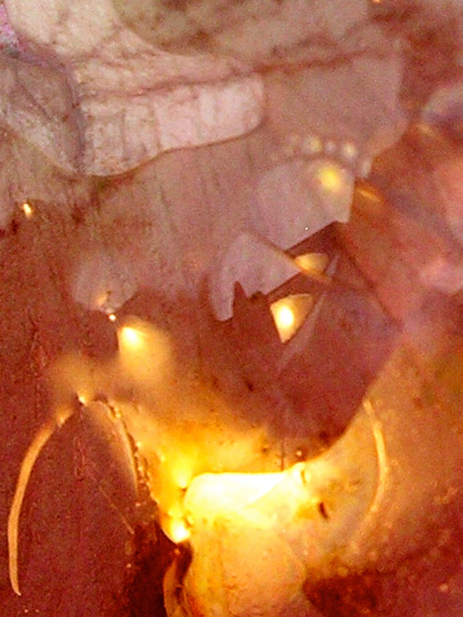 Feuilles d'Automne XVI - Photographie sans trucage sans retouche - Dimension Fantasmic